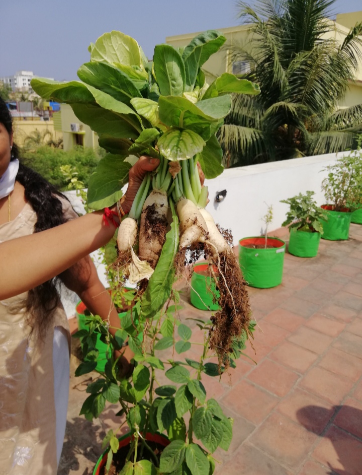 Garden learning space